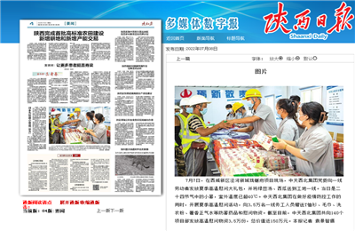 创世大发西北集团珑樾府项目高温慰问——《陕西日报》